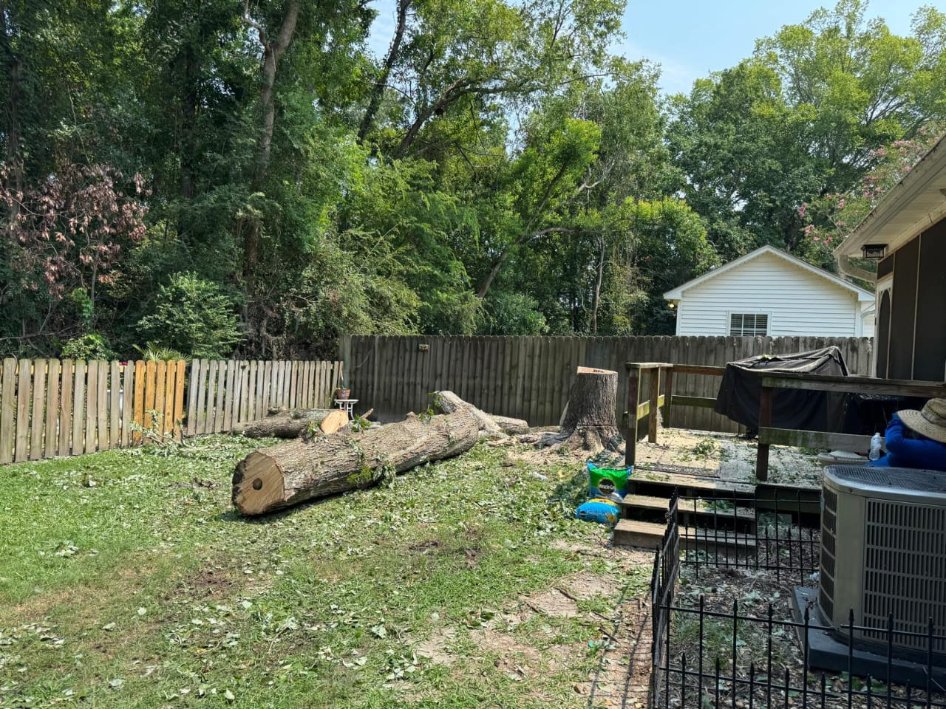 Lion Tree Service and Landscaping LLC project photo 34